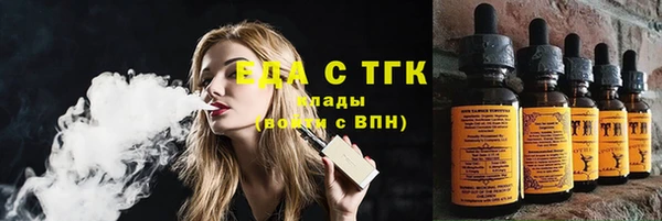 стаф Магас