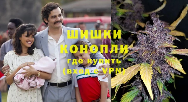 дурь Лиски