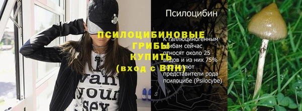 гашик Лихославль