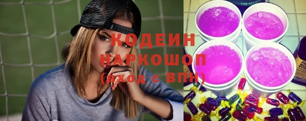стаф Магас